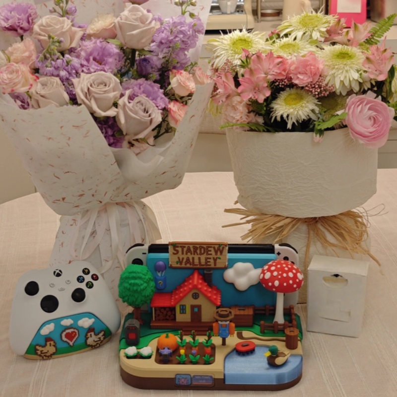 Switch Dock Stardew Valley Far - đánh giá và giá Gaming Console Stand