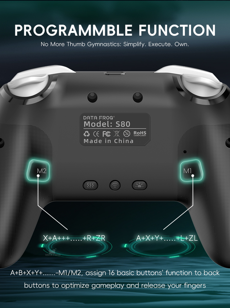 DATA FROG 2 Pack Wireless Pro  - đánh giá và giá Gaming Console For Android Tv