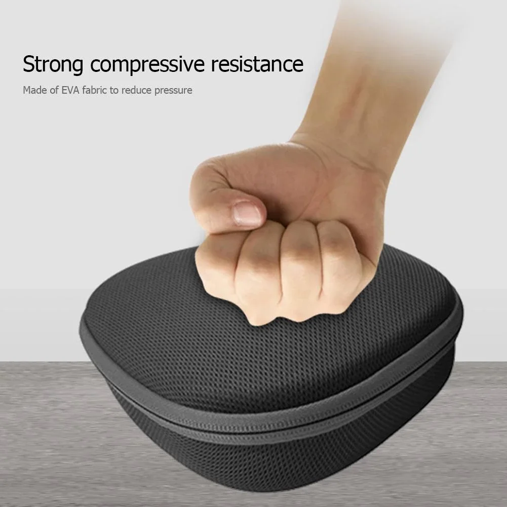Aolion EVA Hard Gamepad Case F - đánh giá và giá Gaming Console Monitor